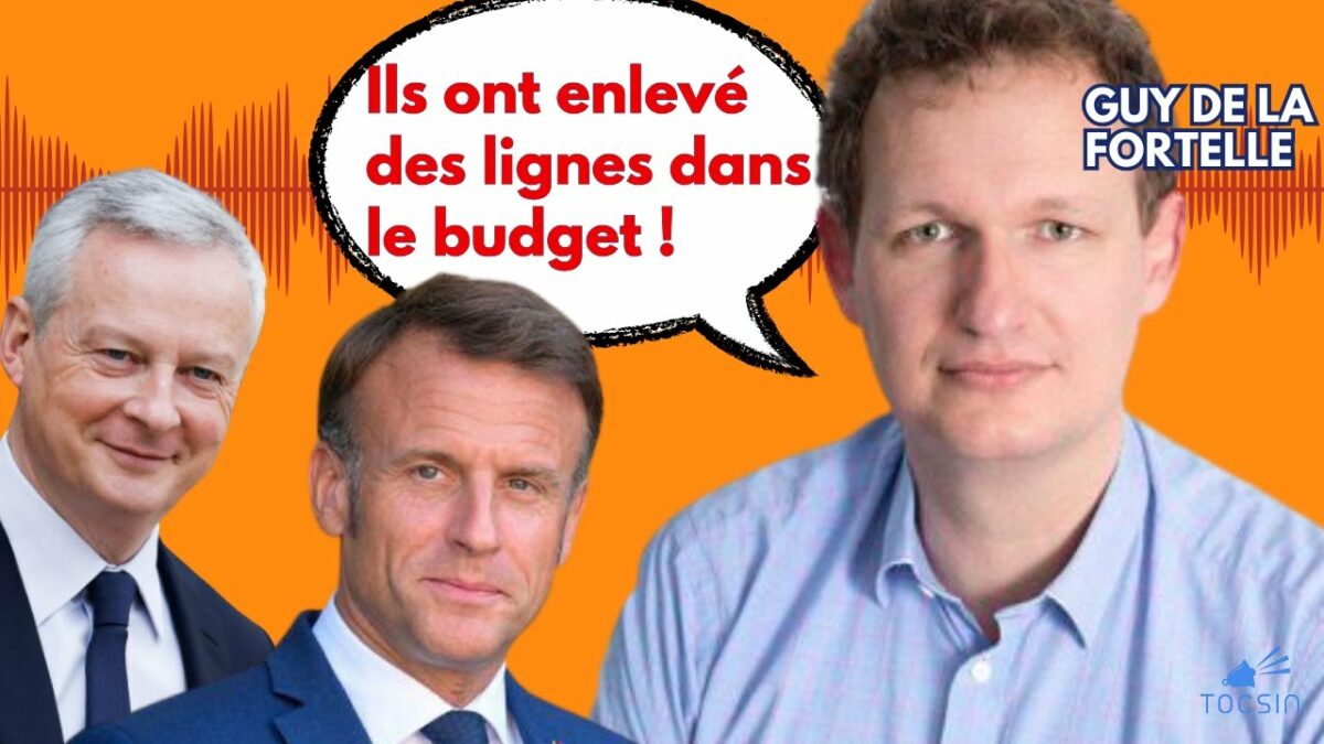 On devrait refuser de payer ses impôts avec un budget pareil ! – Guy de la Fortelle